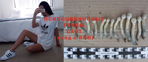 mdma Лиски